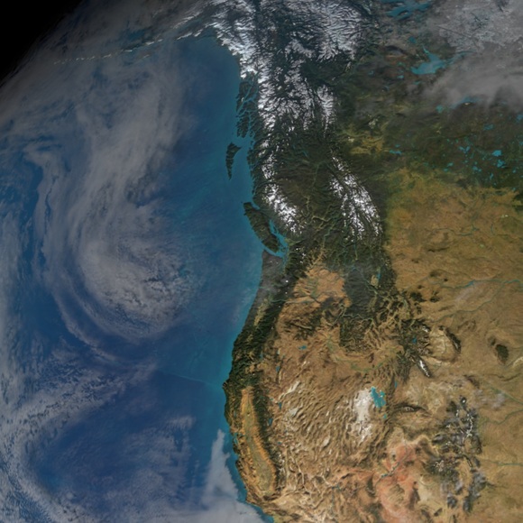 Meet your Posher, Sina - Picture 1 of 1